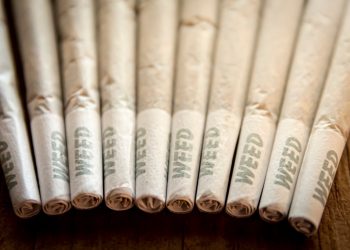 Legalisierung: Drogenbeauftragter bittet um Geduld