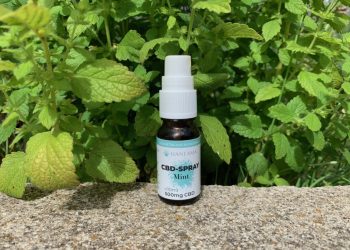Frisch-durch-den-Tag-Hanfama-CBD-Spray-Mint-1-1