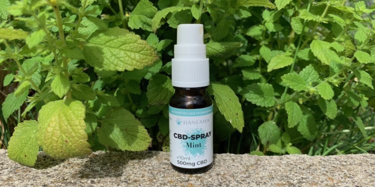 Frisch-durch-den-Tag-Hanfama-CBD-Spray-Mint-1-1