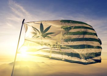 USA: Gesetzesentwurf zur Beendigung des bundesweiten Cannabisverbotes