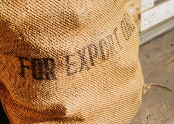 Ecuador exportiert Hanf in die Schweiz
