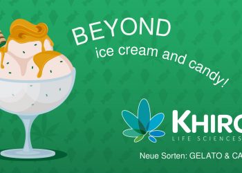 Khiron erweitert Medizinalcannabis Portfolio