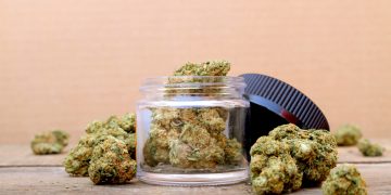 Neue Cannamedical Strains in den Apotheken