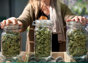 Nach Analyse – Cannabiskonsum verursacht selten Psychosen