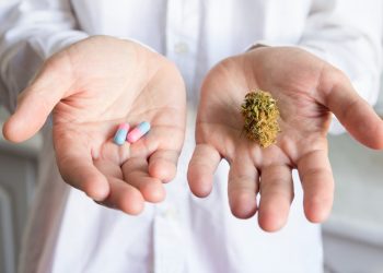 Die Legalisierung von Cannabis kostet die Pharmaindustrie Milliarden