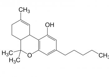 Ist HHC das THC 2.0 unter den Cannabinoiden? 