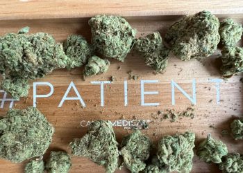 Medizinalcannabis Strain Review – Cannamedical Hybrid Forte/Chocolate Marshmallows