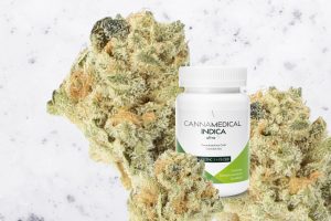 Cannamedical Ultra – A cannabis medicinal mais potente da Alemanha