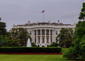 USA: Begnadigung inhaftierter Cannabiskonsumenten vom Präsidenten gefordert