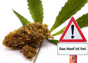 Konzeptpapier für Cannabislegalisierung von FDP liegt vor