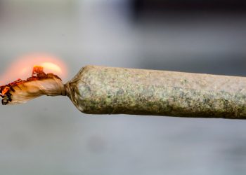 Kritik hagelt auf unbestätigte Legalisierungspläne