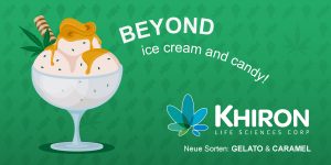 Medizinal Cannabis Strain İncelemesi - Khiron G 19/1 Gelato