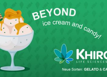 Medizinalcannabis Strain Review – Khiron G 19/1 Gelato