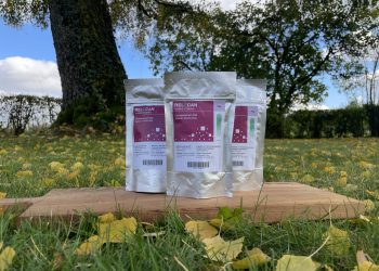 Medizinalcannabis Strain Review – Relecan Hybrid Strong / Gorilla Glue