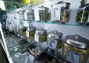 Genusscannabis USA: Verkauf in Vermont hat begonnen