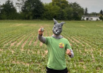 Motiviert für Aktive, aktiv für Motivierte – CBD Hase