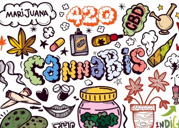 Deutsche Cannabis Social Clubs organisieren sich in Dachverband