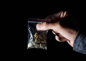 Zwei Drittel der Deutschen für Legalisierung von Cannabis