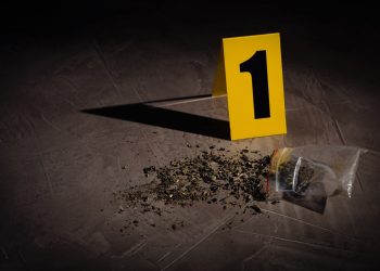 Kein Anstieg von Kriminalität nach Legalisierung von Cannabis messbar