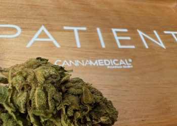 Medizinalcannabis Strain Review – Cannamedical Hybrid Forte NG / Dark Side of the Moon