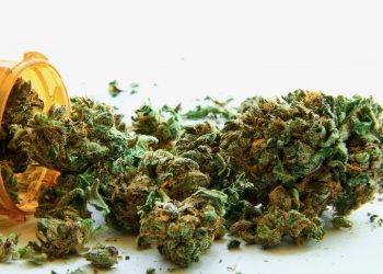 Verschreibungen von Cannabis könnten eingestellt werden 