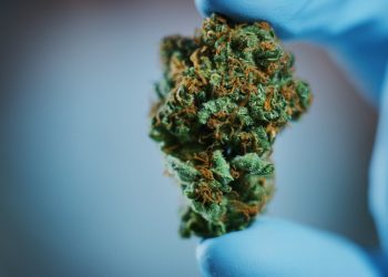 Ankylose und Cannabis