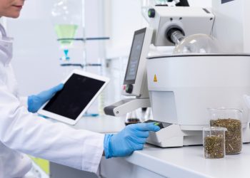 Cannabis Modellprojekt in Basel startet Anfang Januar 2023