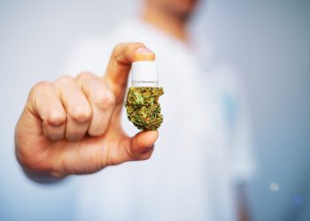Cannabis in der Schmerzmedizin