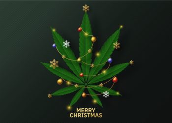 Kein Gesetzesentwurf – Karl Lauterbach verliert eine Million