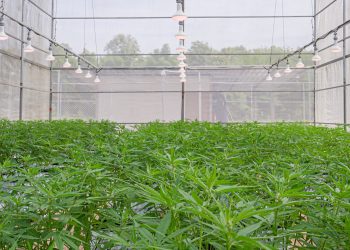 Demecan nimmt 15 Millionen bei Finanzierungsrunde ein