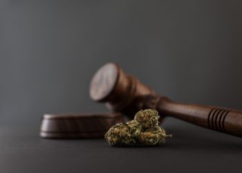 Rechtsgutachten von Bayerns Gesundheitsminister in Auftrag gegeben