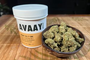 Medizinal Cannabis Strain İnceleme – AVAAY 23/1 CRE / Creamy Kees No.5