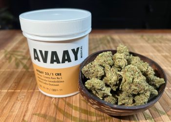 Medizinalcannabis Strain Review – AVAAY 23/1 CRE / Creamy Kees No.5