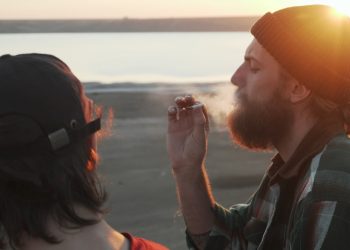 Frankfurt bereitet sich mit Bürgerbefragung auf Legalisierung vor