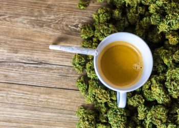 Frankreich reguliert Handel mit CBD-Blüten