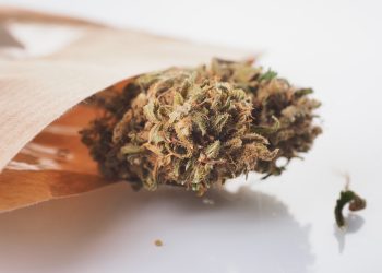 Lauterbach bestellt Gutachten zur Legalisierung