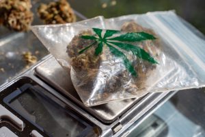 Erkennungsmerkmale der wichtigsten Streckmittel