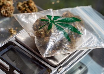 Erkennungsmerkmale der wichtigsten Streckmittel