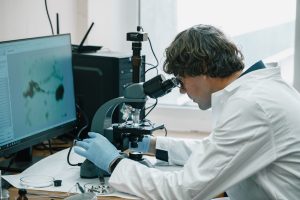 Faktoren, die den Abbau von THC beeinflussen