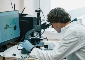 Faktoren, die den Abbau von THC beeinflussen