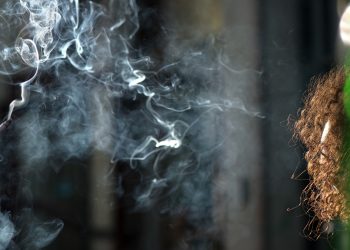 Malta – Zu hohe Gebühren für Cannabis Social Clubs