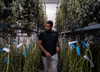 Moritz Bleibtreu investiert in Cannabis Start-up