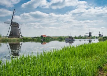 Ab Oktober 2023 – Niederlande testen legalen Cannabisanbau