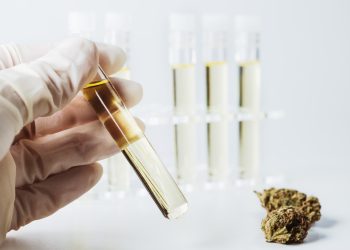 Patienten mit Nervenschmerzen profitieren von medizinischem Cannabis