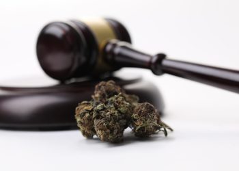 Cannabis-Legalisierung wird von Richtervereinigung begrüßt 