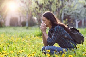 Cannabis contro le allergie: come i cannabinoidi modulano le reazioni immunitarie