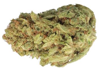 Medizinalcannabis Strain Review – Cannamedical 24/1 Incredible Milk