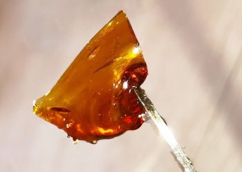 Für das Beste aus deinen Pflanzen