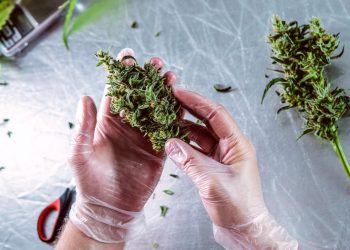 Grundlegende chemische Informationen zu synthetischen Cannabinoiden