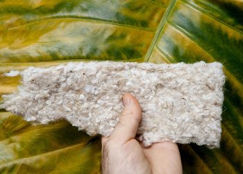 Hanf als ökologisches Baumaterial im Vergleich zu anderen Baustoffen